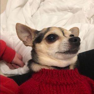 Meet your Posher, Suzy